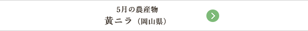 5月の農産物 黄ニラ（岡山県）