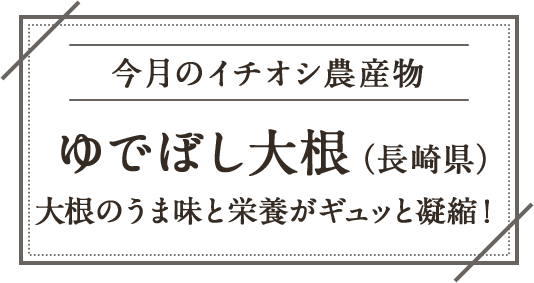 今月のイチオシ農産物 ゆでぼし大根（長崎県）大根のうま味と栄養がギュッと濃縮！
