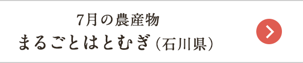 7月の農産物 まるごとはとむぎ（石川県）