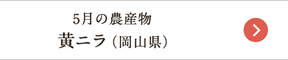 5月の農産物 黄ニラ（岡山県）