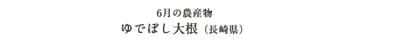 6月の農産物 ゆでぼし大根（長崎県）